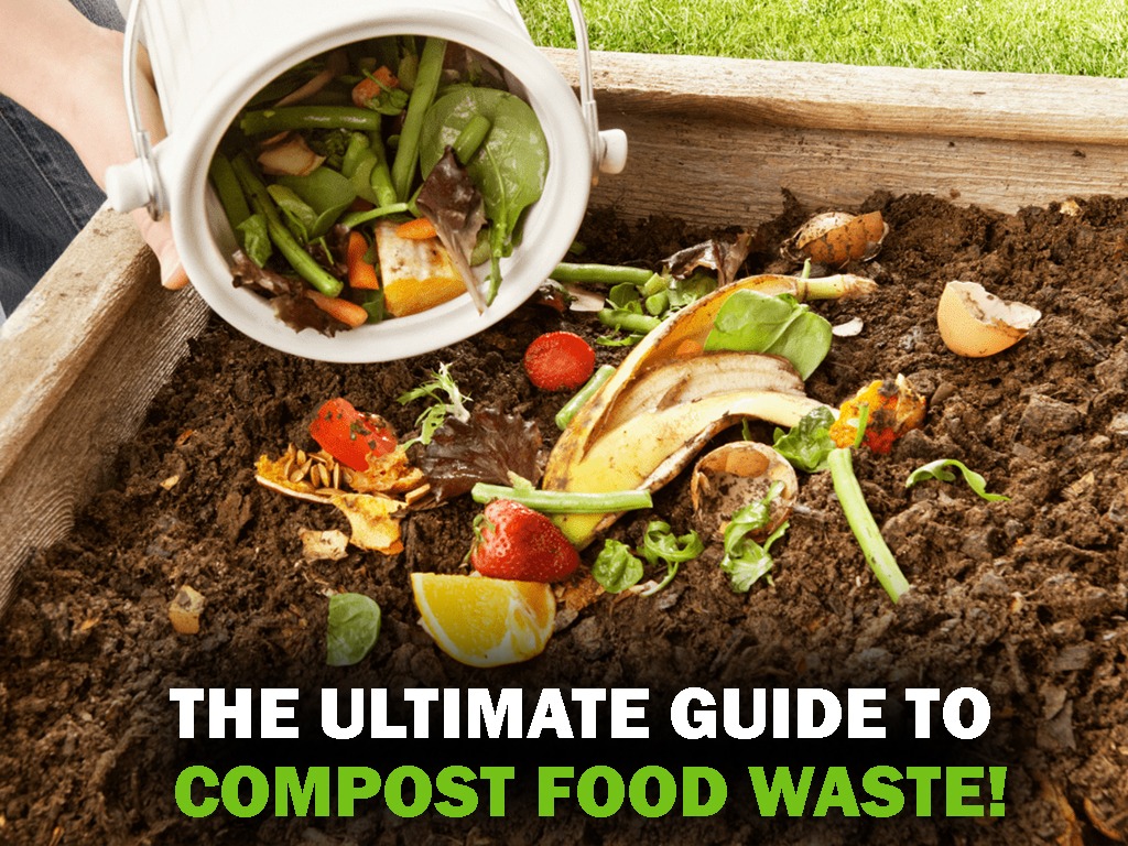 The Ultimate Guide on How to Make Compost