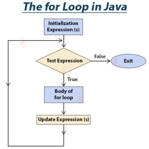 a beginners guide to creating for loops in java